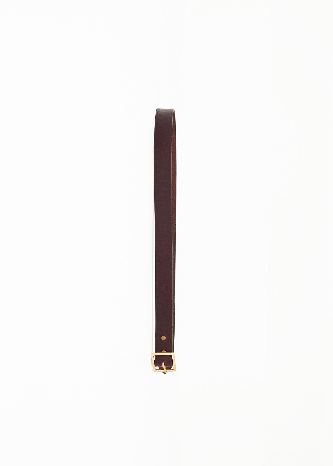 Cintura semplice in marrone
